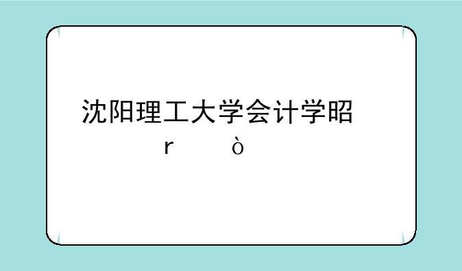 沈阳理工大学会计学是几本？