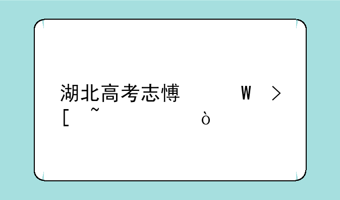 湖北高考志愿录取查询？