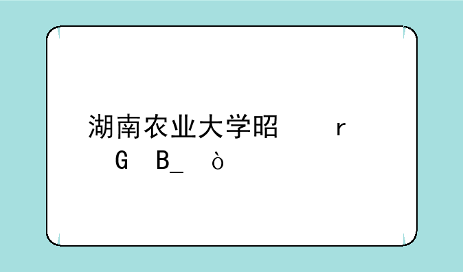 湖南农业大学是本科吗？