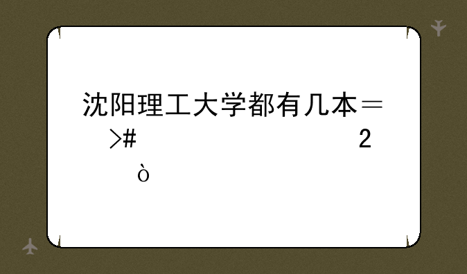 沈阳理工大学都有几本？又几个校区？